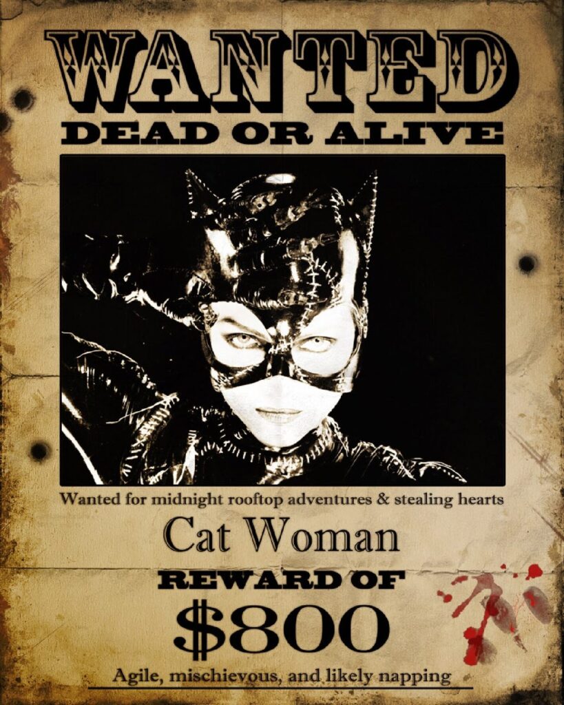 Cat Woman funny superhero wanted poster template